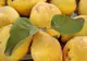 FRESH REFRESH: Uimitoarele proprietăţi ale gutuilor