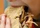 Alertă de toxiinfecție alimentară la un afterschool din Brașov. Peste 100 de copii au ajuns la spital: anchete uriașe al ISJ și DSP