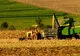 Cât teren AGRICOL deţin STRĂINII în România