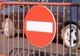Trafic rutier restricţionat în Capitală din cauza finalei Cupei României