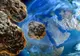4 ASTEROIZI se apropie VERTIGINOS de Pământ. "Nu e niciun pericol", spun astronomii