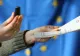 PSD vrea referendum pe Constituție o singură zi, simultan cu euroalegerile