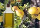 Secretele uleiului de argan pentru frumuseţe