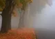 Temperaturi CALDE pentru IANUARIE. Când vin PLOILE: prognoza meteo pe 3 zile