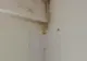 INCREDIBIL! Renovări cu COLI DE HÂRTIE la Spitalul Judeţean Craiova