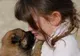 Veste sfâşietoare pentru iubitorii de animale. Începe chiar în această săptămână