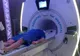 De ce s-a dus Cătălin Botezatu la o clinică medicală din Turcia