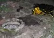 Victima hoţilor de FIER VECHI. Un copil de şase ani şi-a pierdut viaţa după ce a căzut într-un canal