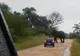Au filmat un elefant în sălbăticie. Scena îngrozitoare care a urmat a ŞOCAT întreaga lume