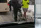 MARTOR OCULAR. Troienele şi gerul nu SPERIE pe toată lumea: iarna e ca vara în Bucureşti
