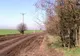 Primarul din Nana, chemat la audieri în comisia Călăraşi
