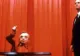 Serialul Twin Peaks se întoarce după 25 de ani