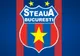Gigi Becali pierde STEAUA. Uite cine O REVENDICĂ