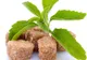 E la fel de NOCIV CA FUMATUL, dar îl poţi înlocui! Alternative sănătoase și cu puține calorii 