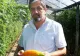SUPERLEGUME care rezistă la SCHIMBĂRI CLIMATICE! Roşiile, ardeiul sau fasolea incluse în EXPERIMENT 