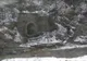 TUNELUL MISTERIOS din MUNŢII BUCEGI 