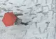 Trei morţi în Japonia, după o furtună de zăpadă