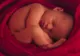 Copiii mamelor-surogat nu vor putea fi înregistrați în Spania