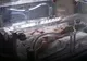 Dramă într-o familie din Gorj. Totul s-a întâmplat la scurt timp după ce fetiţa lor a fost externată