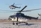 Dezastru în Timiş. INVESTIŢIE DE MII DE EURO, DISTRUSĂ de un ELICOPTER al POLIŢIEI
