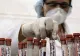 CRIZĂ LA SUCEAVA: Pacienţii cu HIV, fără tratament de două luni