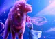 Horoscop 5 martie: ce rezervă astrele fiecărei zodii