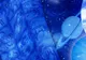 HOROSCOP weekend 22-23 februarie
