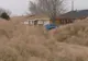 Locuitorii din Roswell, orășelul în care s-ar fi prăbușit un OZN, uluiți de o invație ciudată