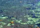 Bizarul fenomen al cercurilor submarine a fost explicat