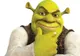 VESTEA care îi va ÎNCÂNTA pe toţi fanii SHREK