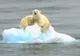 Avertismentul Organizației Meteorologice Mondiale: "Temperaturile mondiale vor continua să crească"