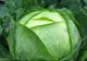 6 legume care te feresc de cancer