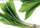 Fresh Refresh. Leurda, planta minune a primăverii 
