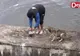 Gest emoţionant făcut de un tânăr de 25 de ani. Au şi CÂINII EROII LOR 