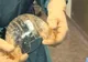 Performanţă uluitoare. Medicii i-au înlocuit unei femei craniul cu un model din plastic