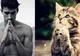 Ce spune despre personalitatea ta animalul de companie pe care îl alegi