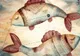 Horoscopul zilei de luni, 24 martie. Ce rezervă astrele fiecărei zodii