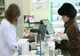 Percheziții la spitale și farmacii, în Maramureș într-un dosar de decontări fictive cu rețete compensate