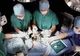 CHIRURGIE EXTREMĂ. Un pacient aproape că a fost MUTILAT PENTRU A FI SALVAT DE CANCER 
