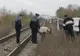 A murit sub roțile trenului