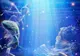 Horoscop complet vineri, 30 mai. Ce rezerva astrele fiecarei zodii