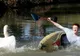Lebădă RASISTĂ din campusul universitar: ce fel de studenţi ATACĂ