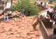 Un leopard a creat panică într-un sat