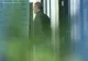 Gigi Becali, la muncă. PRIMELE IMAGINI din afara închisorii 