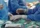 Operație în premieră în Româniala la un pacient diagnosticat cu tuberculoză urogenitală