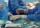 AUR pentru ROMÂNI. Medici de la Colentina, medaliaţi cu aur la Geneva
