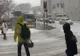 Ninge abundent