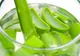 Tratamentul MIRACULOS CU ALOE, după reţeta originală a călugărului Romano