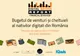 Banii nativilor digitali din România: de unde vin, pe ce sunt cheltuiți, cu ce frecvență și de ce