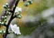 VREMEA DE PAŞTE: Prognoza meteo pentru următoarele zile